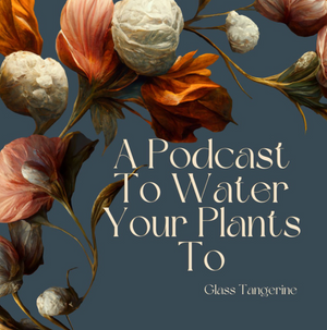 Podcast interview with Glass Tangerine